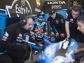 2014 Monlau Team 17 Phillip Island GP